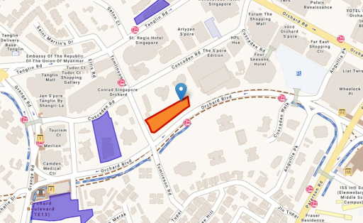 Orchard Boulevard 110 Units (CCR, District 10)